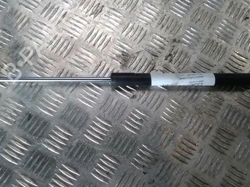 Used Tailgate lift support RENAULT CLIO III (BR0/1, CR0/1) 1.5 dCi (BR17, CR17) (86 hp) 17316516