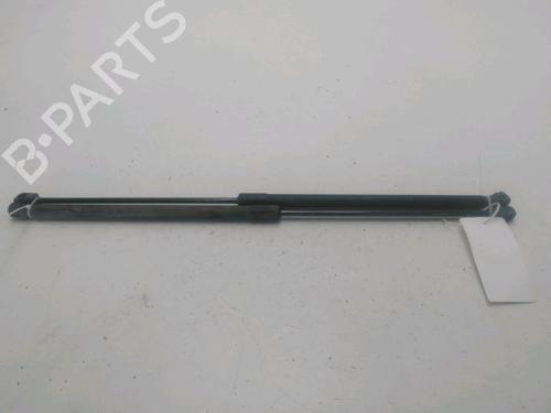 Used Tailgate lift support OPEL CORSA D (S07) 1.3 CDTI (L08, L68) (75 hp) 24882560