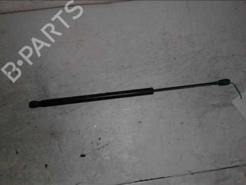 Used Tailgate lift support RENAULT SCÉNIC II (JM0/1_) [2003-2010]  14902314