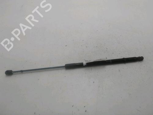 Tailgate lift support PEUGEOT 5008 (0U_, 0E_) 1.6 HDi | BP28970253C138 