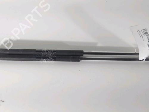 Used Tailgate lift support RENAULT SCÉNIC II (JM0/1_) 1.5 dCi (JM1E, JM16) (106 hp) 22403559