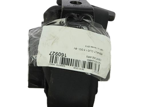 Used Rear left belt tensioner RENAULT CLIO IV Grandtour (KH_) 1.5 dCi 90 (KHN3, KHN4) (90 hp) 31935822