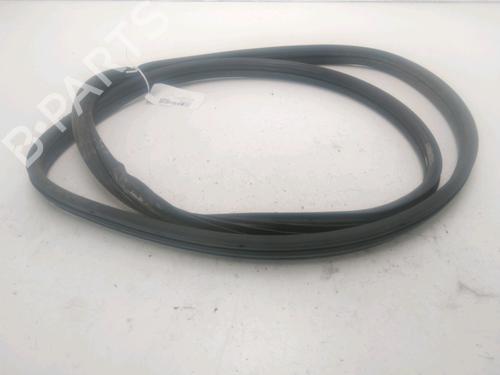 Used Rubber door seal RENAULT CLIO III Grandtour (KR0/1_) 1.5 dCi (KR0F) (86 hp) 26876923