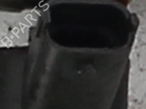 Injector RENAULT KANGOO (KC0/1_) 1.9 dCi 4x4 (84 hp) 30652111