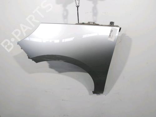 Left front fenders RENAULT SCÉNIC III (JZ0/1_) 1.5 dCi | BP29644306C41 