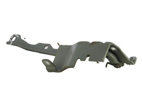 Hinge/Door check strap RENAULT LATITUDE (L70_) 2.0 dCi 175 (L70Y, L734) | BP31961757C146