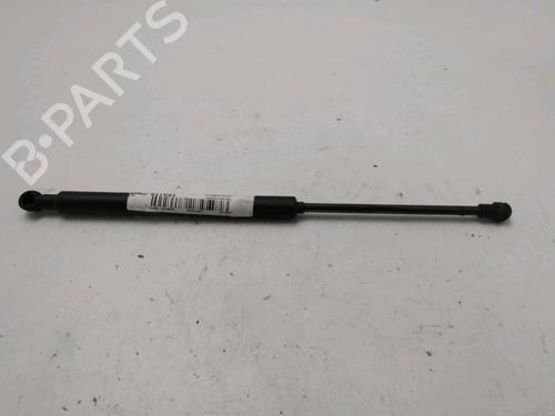 Tailgate lift support RENAULT TWINGO II (CN0_) 1.5 dCi (CN0E) | BP31278093C138