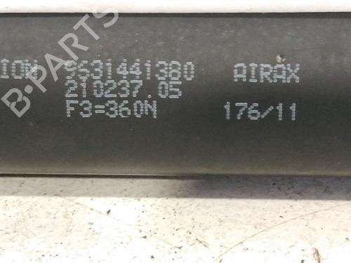 tailgate-lift-support-peugeot-206-2l_-2m_-2009-2010-2011-2012-2013-30311075 main image