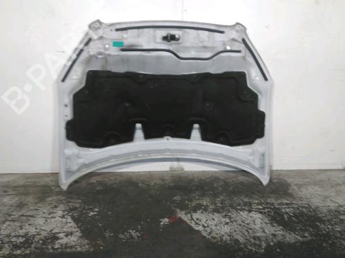 Panser Panser NISSAN QASHQAI I (J10, NJ10) 1.6 dCi (130 hp) 37597587 37597587