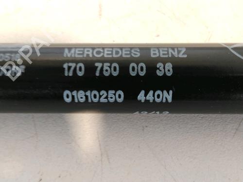 Used Tailgate lift support MERCEDES-BENZ SLK (R170) 200 (170.435) (136 hp) 30311081