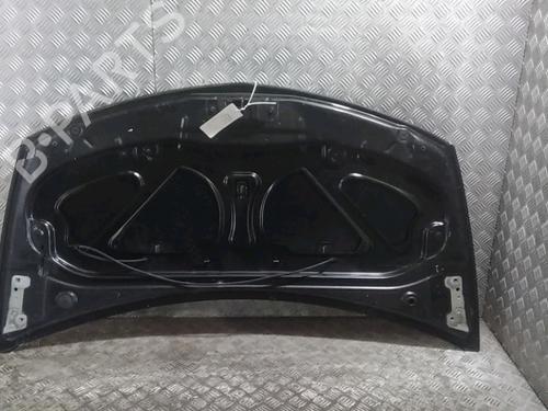 Hood RENAULT CLIO III (BR0/1, CR0/1) 1.5 dCi (BR17, CR17) | BP14964123C1 