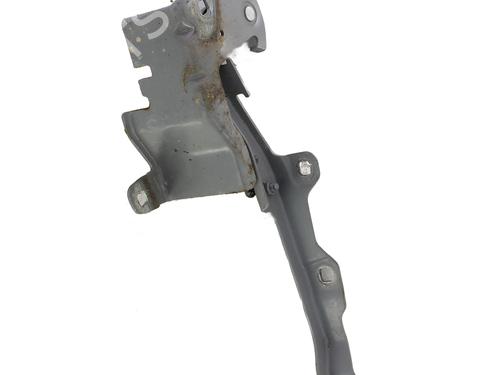 Used Hinge/Door check strap RENAULT LATITUDE (L70_) 2.0 dCi 175 (L70Y, L734) (173 hp) 31911983