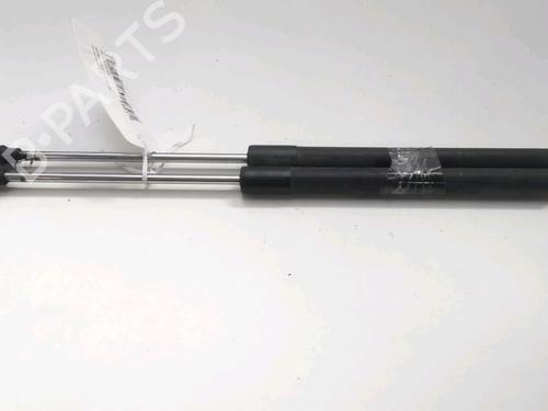 Used Tailgate lift support RENAULT CLIO III (BR0/1, CR0/1) 1.5 dCi (75 hp) 18206631