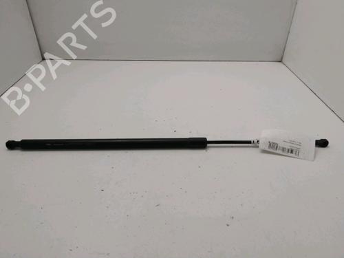 Used Tailgate lift support RENAULT GRAND SCÉNIC III (JZ0/1_) 1.5 dCi (JZ0B, JZ07) (106 hp) 31078345