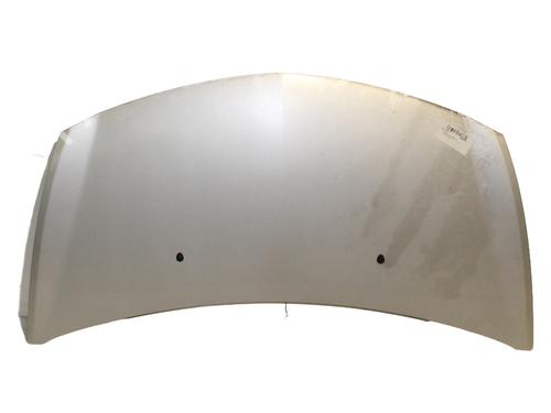 hood-renault-clio-iii-grandtour-kr01_-2007-31031203 main image