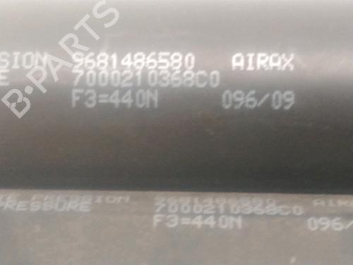 Used Tailgate lift support CITROËN C3 Picasso (SH_) 1.6 HDi (90 hp) 27332451