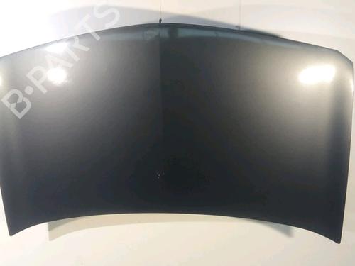 Used Hood RENAULT MEGANE II (BM0/1_, CM0/1_) 1.6 16V (112 hp) 22382038