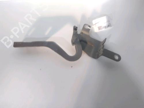 Hinge/Door check strap RENAULT CLIO IV (BH_) 0.9 TCe 90 (BHNF, BHMA, BHMH, BHJK, BHJR) | BP28331180C146 