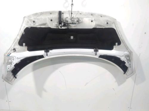 Used Hood RENAULT SCÉNIC III (JZ0/1_) 1.5 dCi (110 hp) 28206435