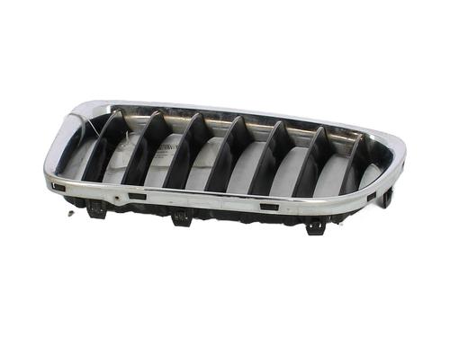 Grille BMW X1 (E84) sDrive 16 d | BP29819291C40