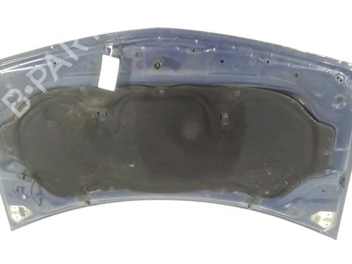 Used Hood RENAULT MEGANE II (BM0/1_, CM0/1_) 1.5 dCi (BM0F, BM0T, BM2B, CM0F, CM0T) (82 hp) 20927050