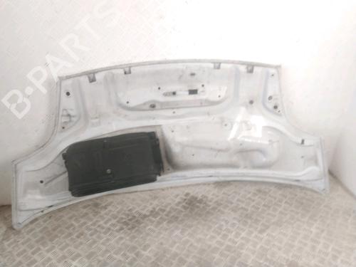 Used Hood Hood RENAULT TRAFIC II Van (FL) 1.9 dCi 80 (FL0B) (82 hp) 39893533 39893533
