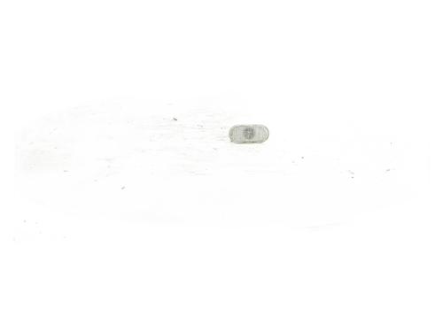 Left side indicator RENAULT KANGOO Express (FW0/1_) 1.5 dCi 90 (FW0G, FW05, FW08, FW11) | BP33727886I20 - Image 3