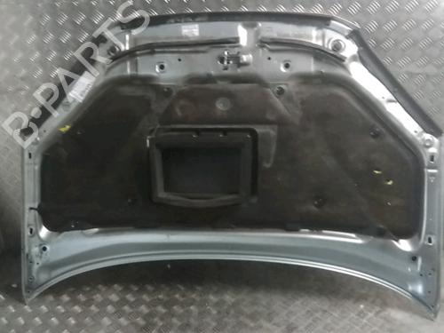hood-toyota-rav-4-ii-_a2_-2000-2001-2002-2003-2004-2005-29137296 main image
