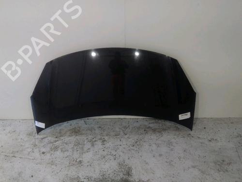 hood-citroen-c3-ii-sc_-2009-33009020 main image