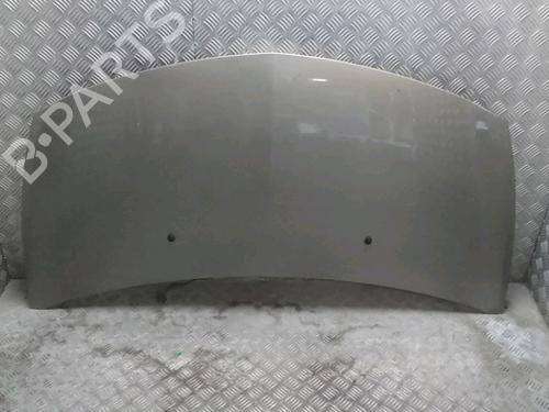 Used Hood RENAULT CLIO III (BR0/1, CR0/1) 1.5 dCi (BR17, CR17) (86 hp) 15089825