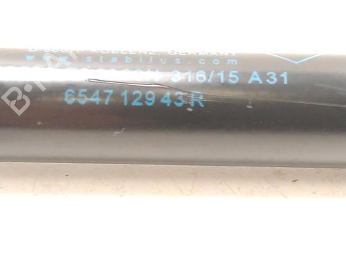 hood-lift-support-dacia-duster-hs_-2010-2011-2012-2013-2014-2015-2016-2017-2018-30825332 main image