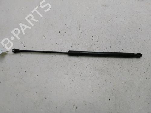 Used Tailgate lift support RENAULT CLIO V (B7_) 1.5 Blue dCi 100 (B7AD) (101 hp) 29469531