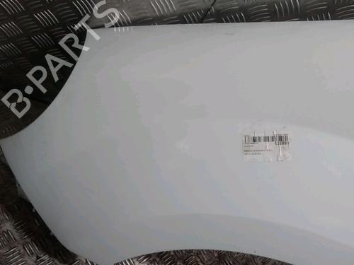 Left front fenders RENAULT KANGOO Express (FW0/1_) 1.5 dCi 70 (FW0A, KW0V) | BP13080708C41 