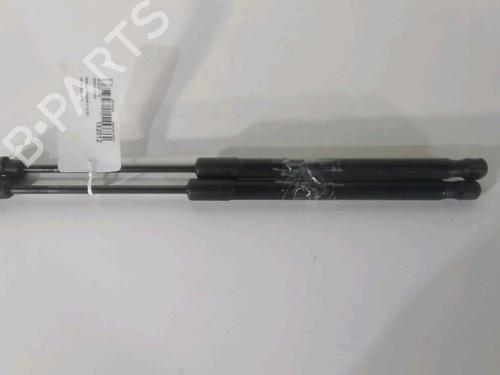 Used Tailgate lift support RENAULT MEGANE III Hatchback (BZ0/1_, B3_) 1.5 dCi (BZ1G, BZ1W, BZ0R) (95 hp) 22694291