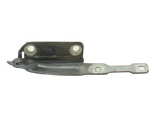 hingedoor-check-strap-dacia-sandero-ii-2012-33836120 main image