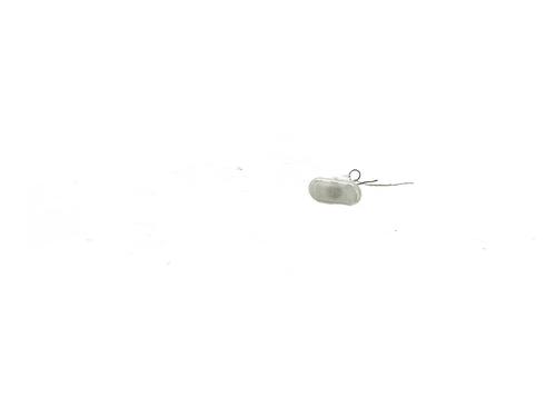 Right side indicator RENAULT KANGOO Express (FW0/1_) 1.5 dCi 90 (FW0G, FW05, FW08, FW11) | BP33727885I19 - Image 3