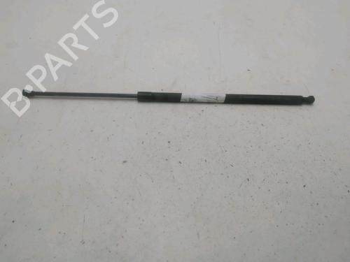 Used Tailgate lift support RENAULT GRAND SCÉNIC III (JZ0/1_) 1.5 dCi (JZ09, JZ0D, JZ10, JZ14, JZ1G, JZ29, JZ2C) (110 hp) 29389368