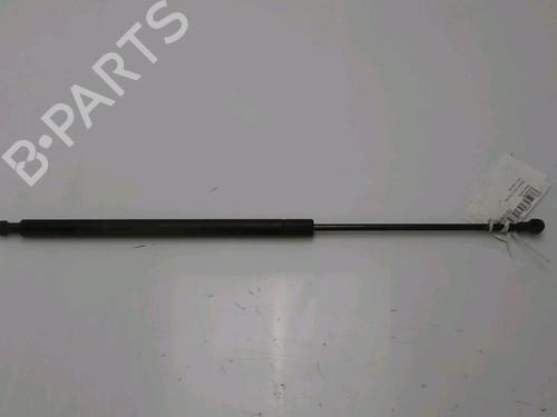 Used Tailgate lift support RENAULT CLIO II (BB_, CB_) 1.5 dCi (B/CB07) (65 hp) 19540501