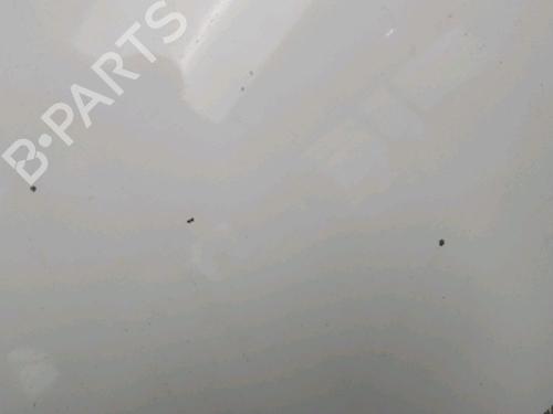 Hood FORD TRANSIT Van (FA_ _) 2.0 DI (FAE_, FAF_, FAG_) | BP15048028C1 
