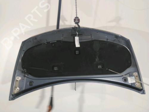Hood RENAULT CLIO III (BR0/1, CR0/1) 1.5 dCi (C/BR0G, C/BR1G) | BP18478092C1 