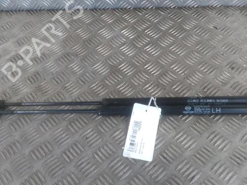 Used Tailgate lift support SSANGYONG REXTON / REXTON II (GAB_) 2.7 Xdi (163 hp) 24871744