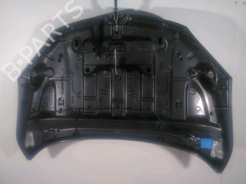 Hood RENAULT MEGANE III Hatchback (BZ0/1_, B3_) 1.9 dCi (BZ0N, BZ0J) | BP24879069C1 