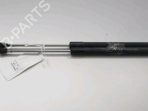 Used Tailgate lift support RENAULT CLIO III (BR0/1, CR0/1) 1.5 dCi (75 hp) 18206631