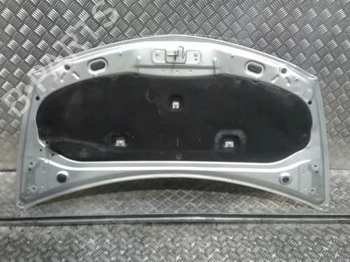 Hood RENAULT CLIO III (BR0/1, CR0/1) 1.5 dCi (BR17, CR17) | BP16556451C1 