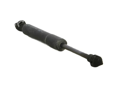 hood-lift-support-renault-zoe-bfm_-2012-34255749 main image