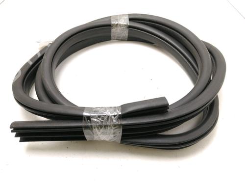 rubber-door-seal-ford-kuga-ii-dm2-2012-30188006 main image