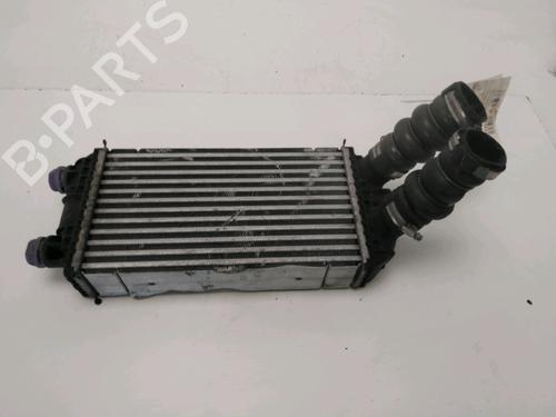 Used Radiator fan PEUGEOT 2008 II (UD_, US_, UY_, UJ_, UR_, UC_) 1.5 BlueHDI 110 (UDYHSK) (110 hp) 29759015