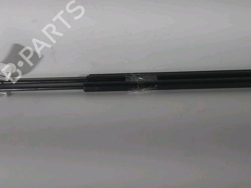 Used Tailgate lift support RENAULT SCÉNIC II (JM0/1_) 1.5 dCi (JM1E, JM16) (106 hp) 22403561