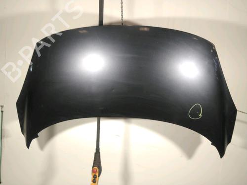 Used Hood RENAULT SCÉNIC III (JZ0/1_) 1.5 dCi (106 hp) 19114913
