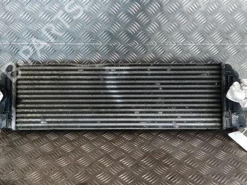 Used Intercooler Intercooler FIAT PUNTO EVO (199_) 1.6 D Multijet (120 hp) 17316329 17316329